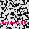 Animal-05