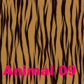 Animal-09