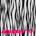 Animal-10