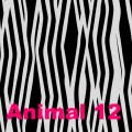 Animal-12