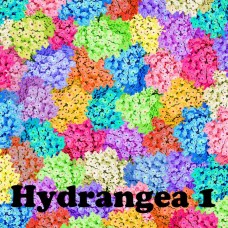 Printed Hydrangea Patterns